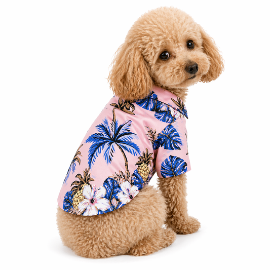 Pack PawAloha — 1 Camisa + Rodillo