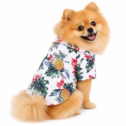 Pack PawAloha — 2 Camisas + Rodillo gratis