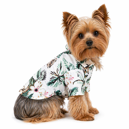 Camisa Hawaiana PawAloha