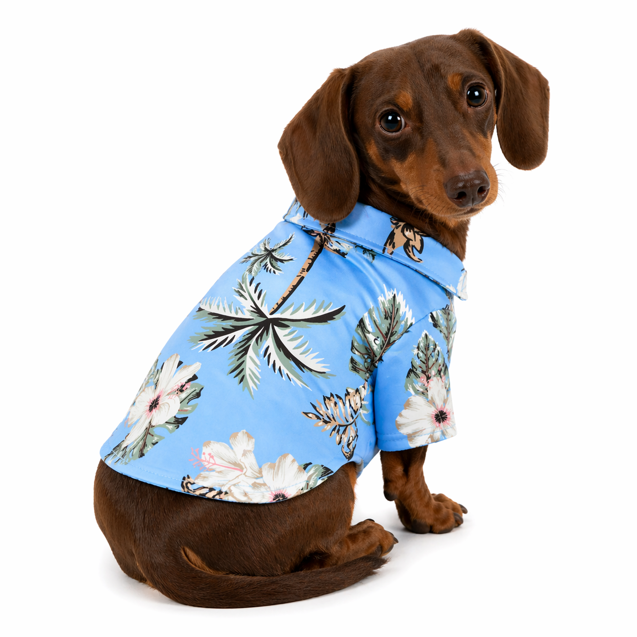 Camisa Hawaiana PawAloha