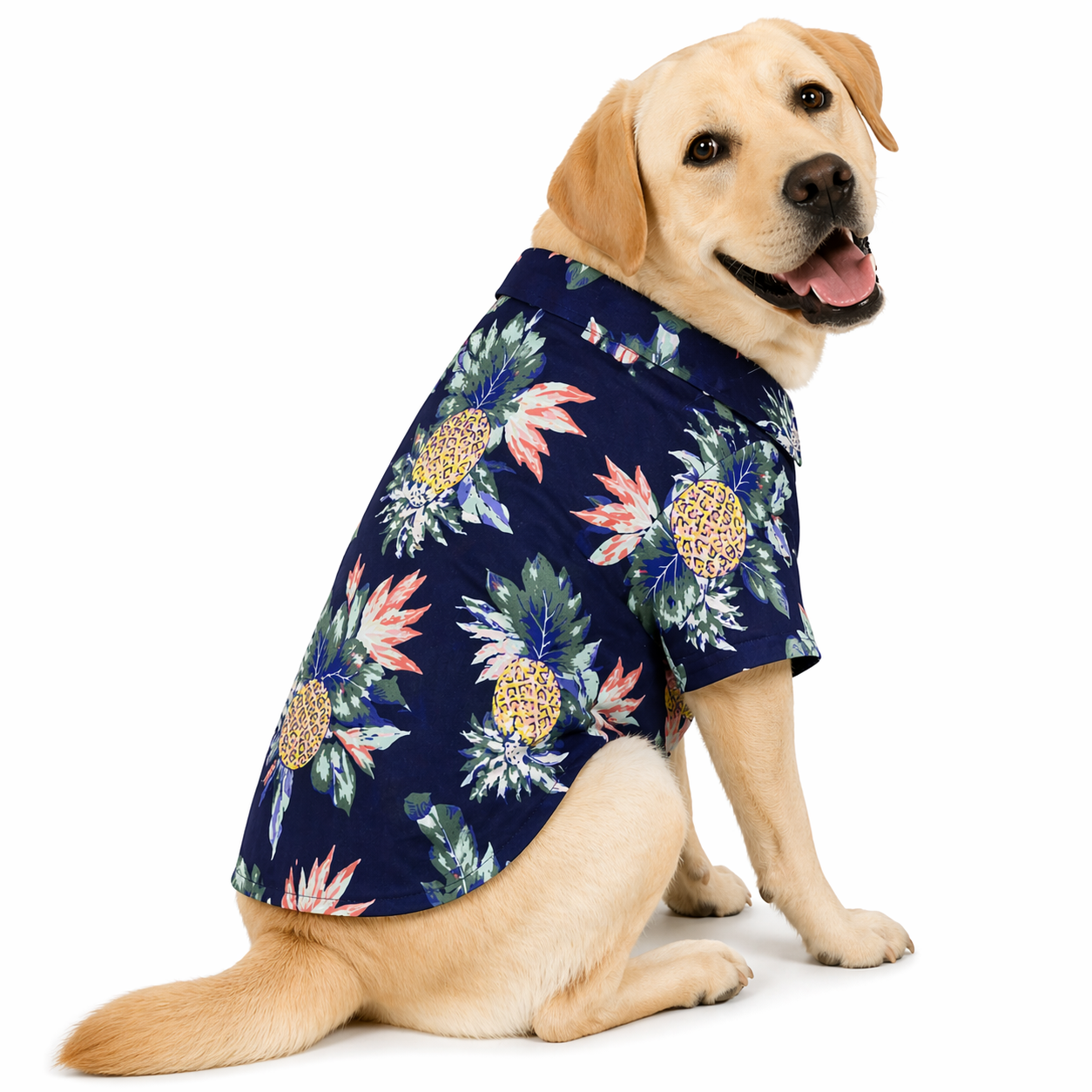 Camisa Hawaiana PawAloha